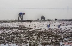 厲害了wuli青島！厲害了wuli紅島??！