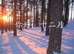 抓住2016年的尾巴給自己充充電！12月，加油！